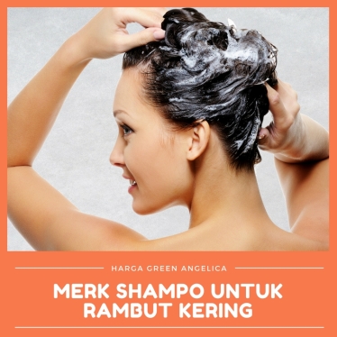 11 Merk  Shampo Untuk Rambut  Kering Yang  Bagus  Untuk Pria 